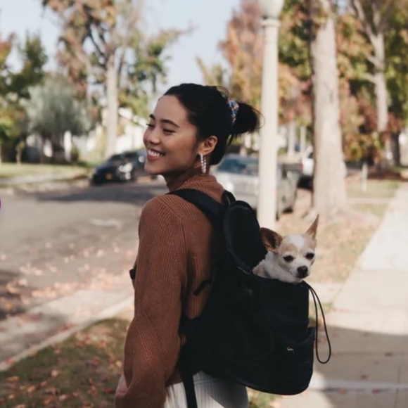 * BRAND NEW Never Used*  Premium Pet Carrier by Oskar & Friends - Picture 2 of 4